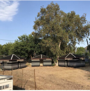 Kamelya Yörük Çadırı 11 otag yoruk cadiri 1 1 3